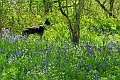 13 05 15_4031_edited-1